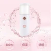 Beauty skin care mini spray electric water fine facial nano mist sprayer