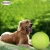 Import Bellwell Excellent Quality And Reasonable Price Eco-friendly Ball For Pet Toy from China