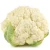 Import Best quality fresh Cauliflower from USA
