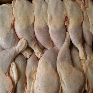 Best Quality HALAL Frozen Chicken Feet from Turkey - Poultry Meat