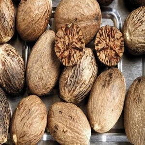 Best Quality Nutmeg for Essential Oil and Spices Available at Low Prices