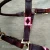 Import Best Quality - Polo Leather Horse Halter - Unique combination - Chestnut Brown Leather with Pink and Burgundy Thread Stitch from India