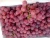 Import Best Sell Fresh Sweet Red Grapes from China