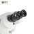 Import BEST X5II China 7x - 45x Optical Zoom Industrial Binocular Stereo Microscope with LED Light Electronic Lab testing Mobile Phone from China
