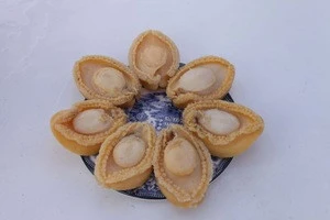 BIG ABALONE CAN IN CLEAN SOUP 400g Solids:160g/6PCS WHOLESELL SHELLFISH