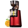 big mouth, low noise, cold press,commercial slow juicer