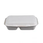 Biodegradable Sugar cane pulp food box