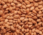 BITTER APRICOT KERNEL