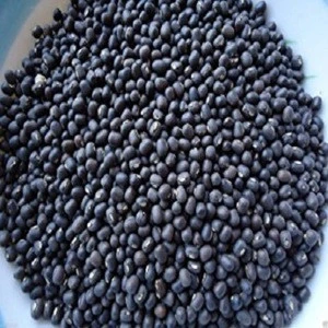 black black kidney beans dry black beans