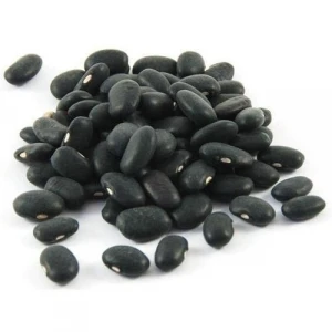 Black kidney bean HPS 500-550pcs/100g/black turtle bean black matpe bean