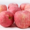 Bulk Best Price Fresh Red Fuji Apple Fruit For Sale Sweet Fuji Apple