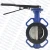 Import Bundor AWWA Butterfly Valve dn 50 Wafer Butterfly Valve Parts from China