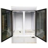 CE CB approved Commercial Plug-in Upright Double Glass Door Freezer