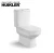 Import Ceramic sanitary ware toilet suite of jail watermark squat toilet from China