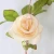 Import cheap artificial potted rose dried flowers from China