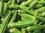 Import Cheap Fresh Green Okra/Okro For Sales Hot sales Thailand from Philippines