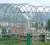 Import China Offer concertina hot dipped galvanized razor barbed wire from China