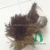 Import China supplier colorful rooster hackle feathers cheap pheasant feathers for sale from China