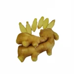Chinese Mature Organic Fresh Yellow Ginger Exports