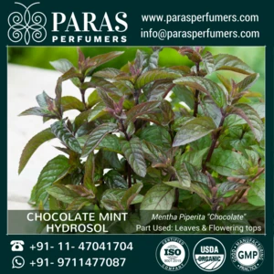 Chocolate Mint Hydrosol , Natural Organic at wholesale bulk price