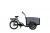 Import Classic 3 wheel bicycle middle drive three wheel electric cargo bike for family use from China