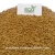Import Common Fenugreek Seeds/ Raw Herb Exporter/ Spices from India