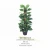 Import competitive price high quality artificial dieffenbachia plant from China