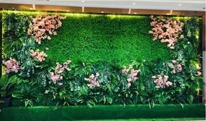 Comprehensive plant wall solutions with a full range of cheap prices