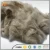 Import cottonized raw flax fiber from China