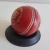 Import Cricket Ball In High Quality Cricket Ball Sialkot Manufacturer Cricket Ball In Cheap Price from Pakistan