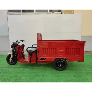 Customized Color 3 Wheel Tricycle Electric Road Delivery 48V800W PG Electric Tricycle Truck for Elderly Passenger-cargo Dual Use