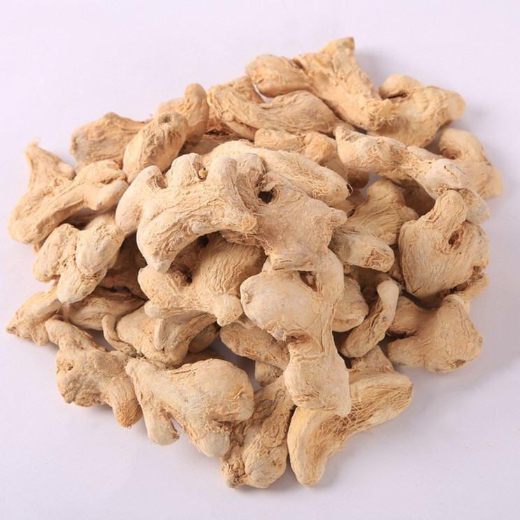 Dehydrated Ginger Whole Bulk Price