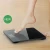 Import Digital Health body Weight Bathroom Scale with LED display from China