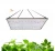 Import Dimmable LM301/LM561c 240W LED Grow Light 3500k 660nm Quantum LED Light for Hydroponic Grow Tent Plant LED Grow Light QB288 from China