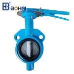 DIN Handles Stainless Steel PTFE Lined Wafer Type Butterfly Valve