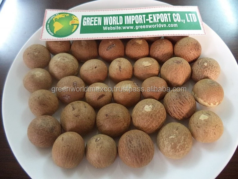 DRIED WHOLE BETEL NUT WITH HIGH QUALITY