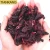 Import Dropshipping OEM Chinese Organic Wholesale Fitness Dried Hibiscus Flower Dried Roselle Herbal Tea from China