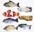 Import Electronic Fish Rubber Toy Interactive Toys Ball Pets Mice Cat Katzenspielzeug Pet 2020 Plush Robots Animals Chew Moving from China