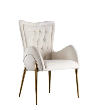Elegant European Modern Furniture Dining Chair luxury dining chair