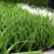 Import ENOCH artificial grass and sport flooring for football staduim from China