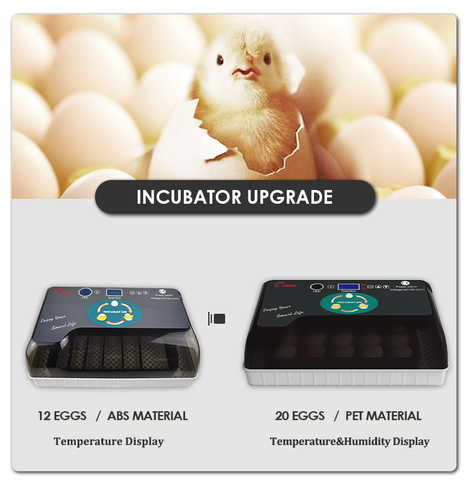 Buy European Market Selling Small Hatchery 20 Eggs Incubator ...