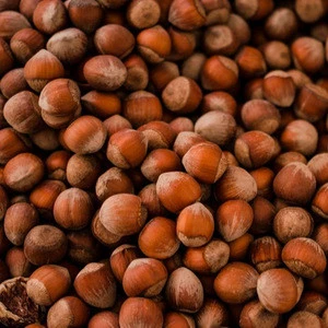 Factory Price Hazelnut (High Quality Certified For Export) /Natural Tasty &amp; Quality Control and Approved