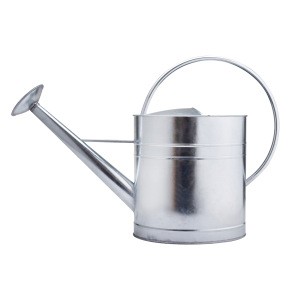 Factory price with 0.27mm Galvanized iron custom watering pot/can
