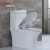 Import Factory supply hot sale ceramic  cheap wc one piece toilets for sale from China