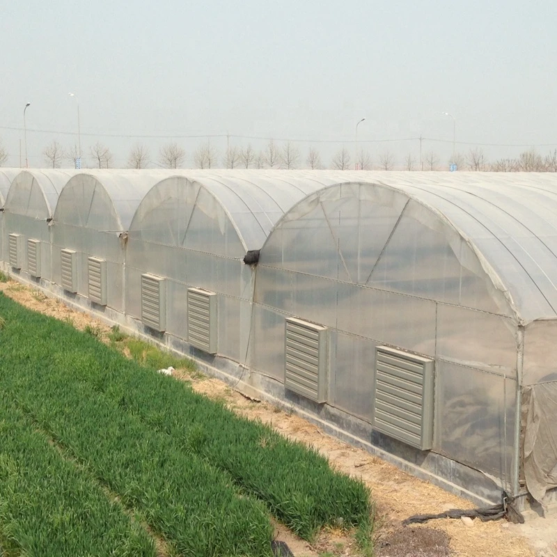 Film commercial hydroponic greenhouse invernadero