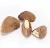 Import Food grade 100% natural Dried raw shelled Brazil nut for sale from China