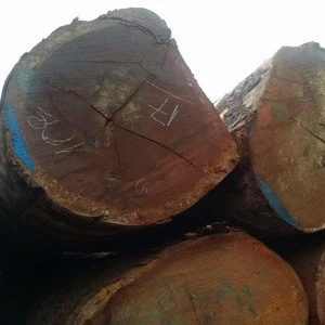 For Sale Logs Doussie / Tali / Azobe / Rosewood / Pine Logs
