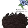 Free sample ISO22000 manufacturer Blueberry Extract Powder Active ingredient Anthocyanidins 25% UV
