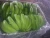 Import Fresh Banana , Fresh crop from Egypt , ready to export , Cavendish Banana wholesale price from Egypt