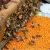 Import fresh buckwheat bee pollen wholesale in bulk or retail bee pollen from China
